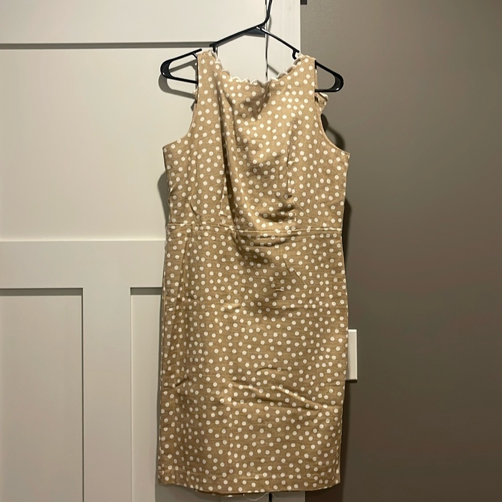 Ann Taylor Petite Dress size 10